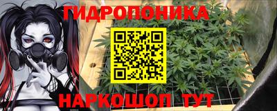 мдпв Гусь-Хрустальный