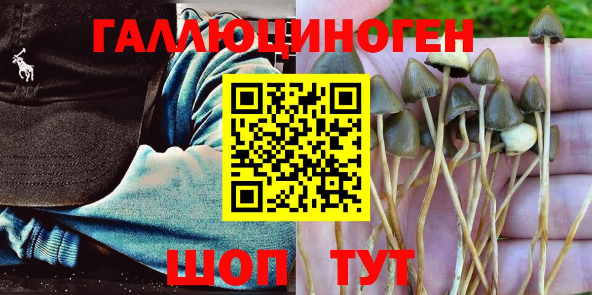 Отрадный  Галлюциногенные грибы Psilocybe  Вход с VPN 